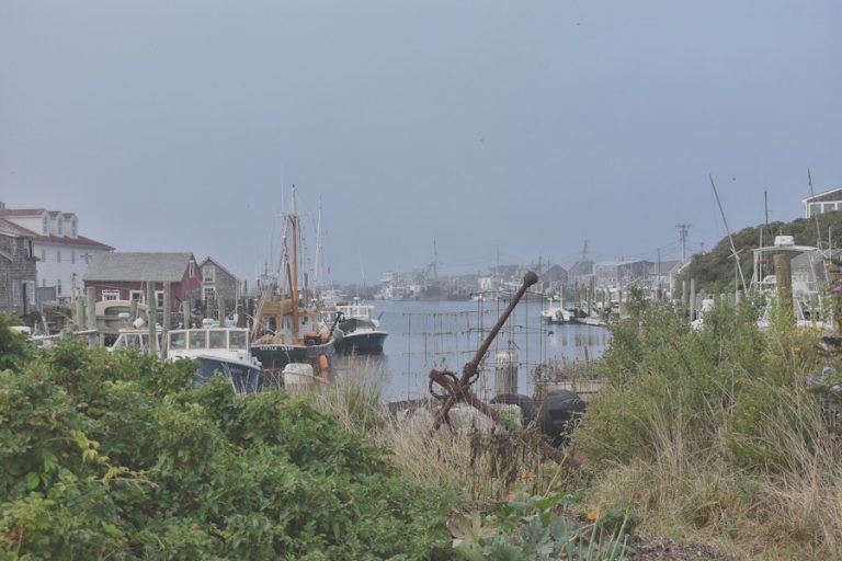 JAWS Filming Locations Crispin Haskins